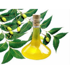 Масло Ним нерафинированное